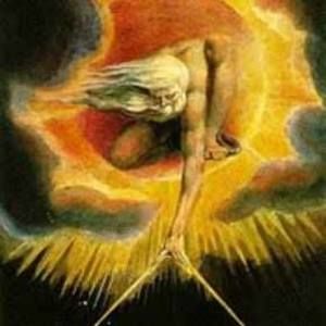 Meet your Posher, Dion